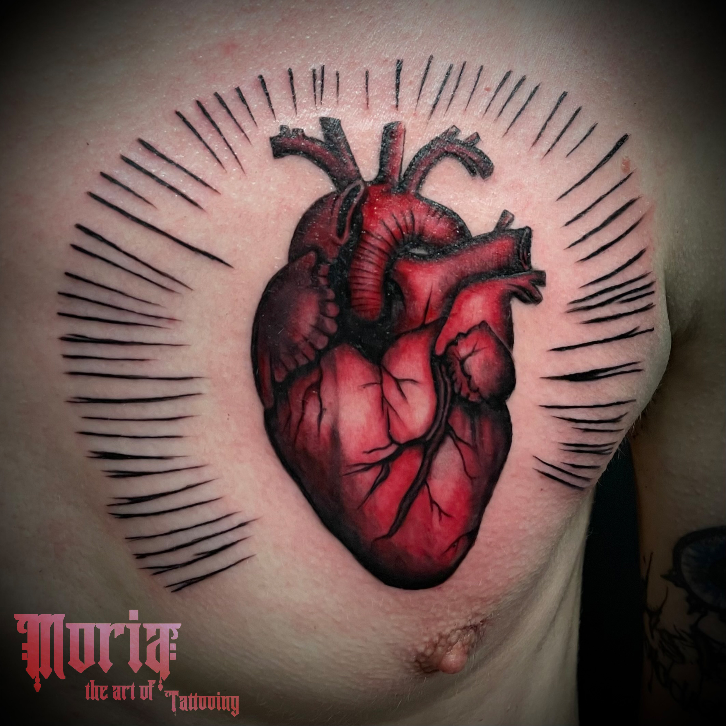 Heart